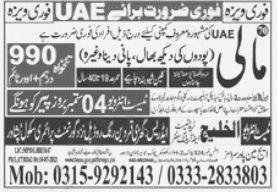 Mali Required in UAE Company