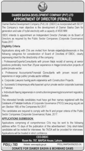 Job Announcemnet at Diamer Basha Development Company Pvt Ltd Lahore