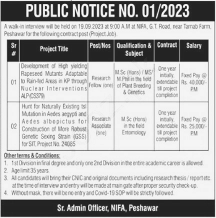 Job Notice at Government Organization Peshawar