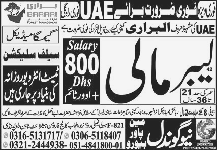 Labor Wanted in UAE