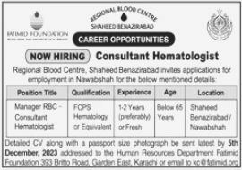 Consultant Hemotologist Jobs in Karachi 2023