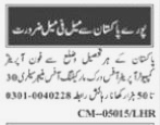 Open Announcement for Male and Female Staff is Required at Private Office at Islamabad 2023