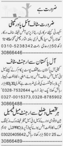 Male Female Office and Security Staff Required at Faisalabad 2023