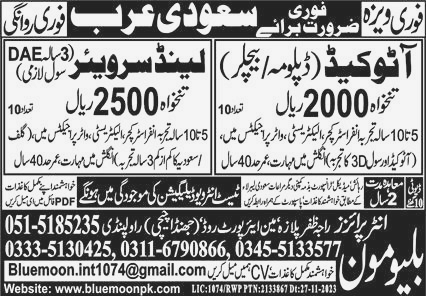 Auto Cad and Land Surveyor jobs in Saudi Arabia 2023