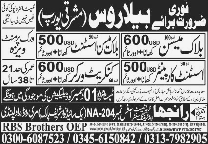 Block Mason and Assistant Carpenter jobs in Belarus Eastern Europe 2023