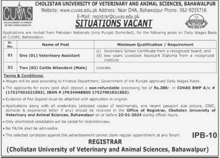 Situation Vacant at Cholistan University of Veterinary and Animal Sciences Bahawalpur