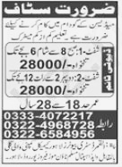 Medicine Company Jobs 2024 Lahore