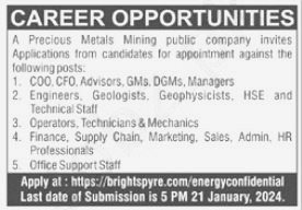 Metals Mining Public Company Jobs 2024